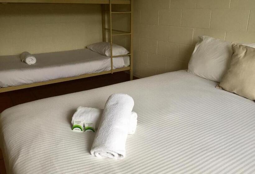آپارتمان 1 خوابه, Koala Beach Resort Cairns
