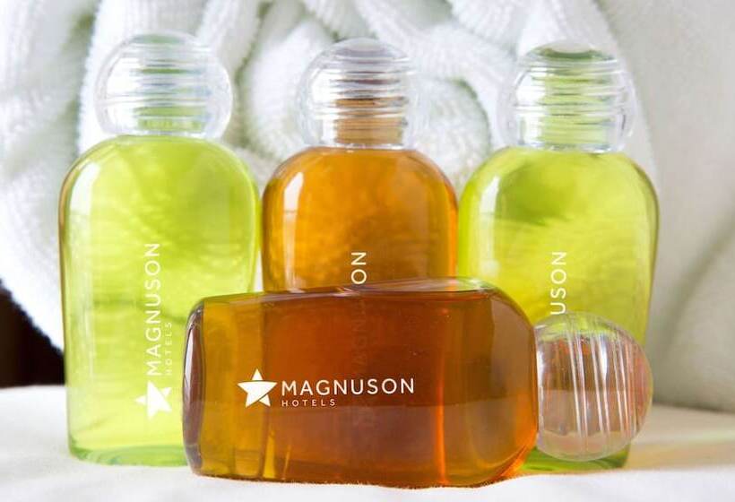 اتاق استاندارد با 2 تخت دوبل, Magnuson Grand Rushmore View