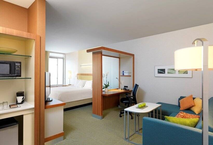 سوییت, Springhill Suites By Marriott Lake Charles