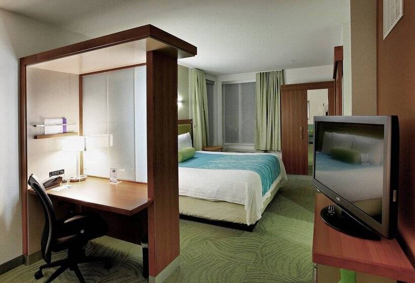 Suite, Springhill Suites Lake Charles