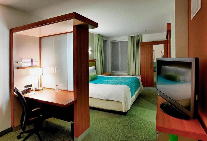 سوئیت با تخت بزرگ, Springhill Suites By Marriott Lake Charles