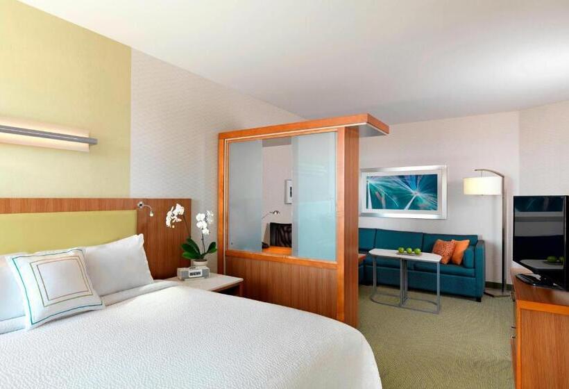 استودیو استاندارد با تخت کینگ, Springhill Suites By Marriott Lake Charles