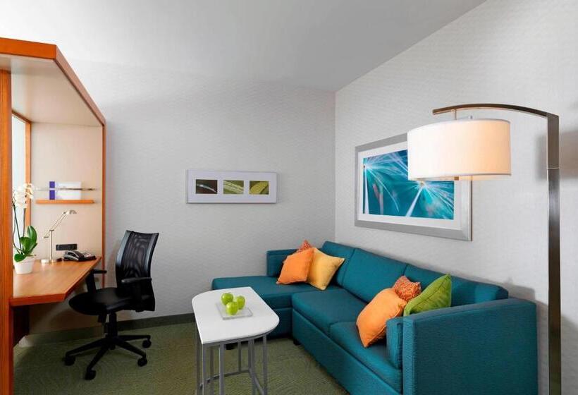 استودیو استاندارد با تخت کینگ, Springhill Suites By Marriott Lake Charles