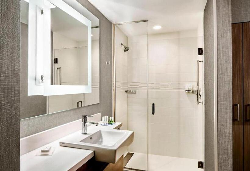 سوئیت برای معلولان, Springhill Suites By Marriott Lake Charles