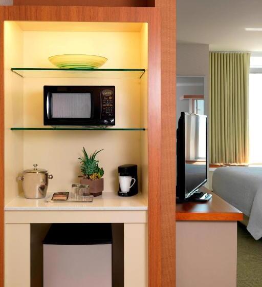 سوئیت برای معلولان, Springhill Suites By Marriott Lake Charles