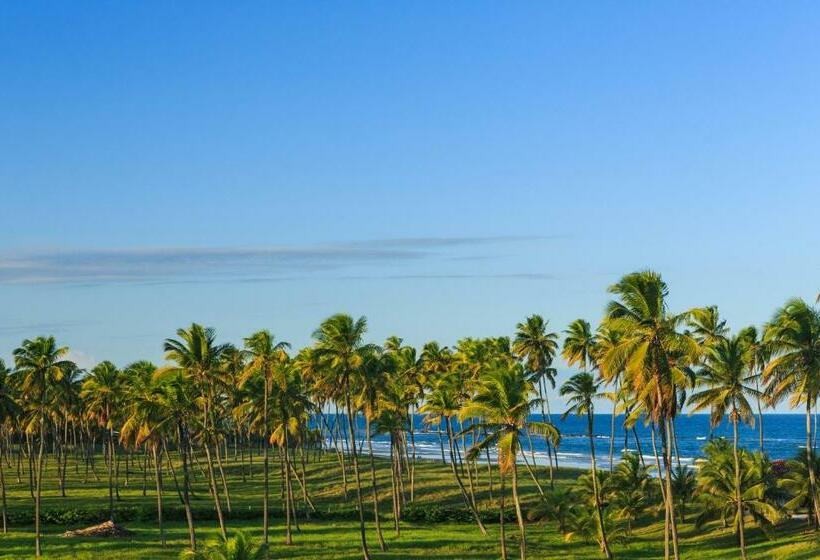 اتاق خانوادگی, Viva Porto De Galinhas Resort