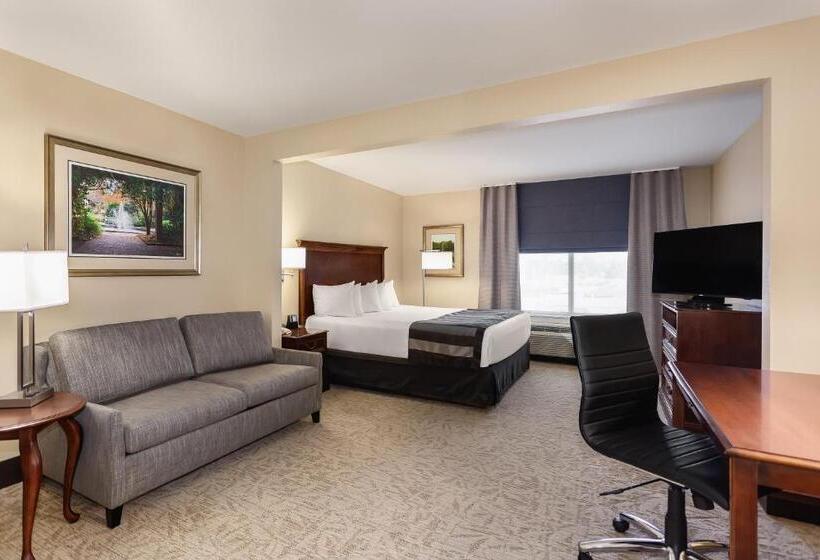 اتاق استاندارد با تخت بزرگ, Wingate By Wyndham Columbia / Lexington