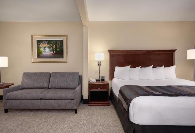 اتاق استاندارد با تخت بزرگ, Wingate By Wyndham Columbia / Lexington