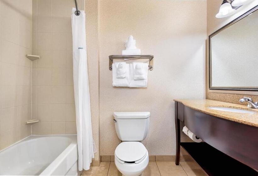 اتاق استاندارد, Wingate By Wyndham Columbia / Lexington