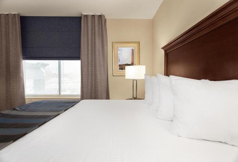 اتاق استاندارد, Wingate By Wyndham Columbia / Lexington