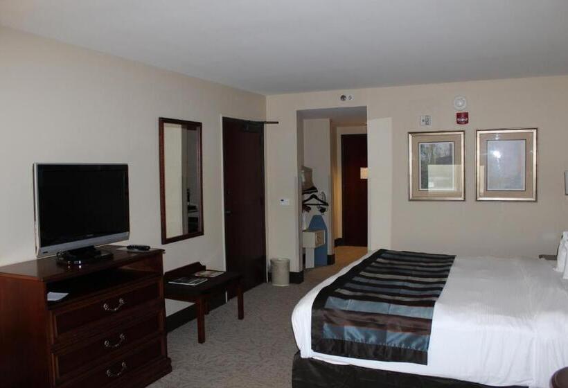 اتاق استاندارد با تخت بزرگ, Wingate By Wyndham Columbia / Lexington