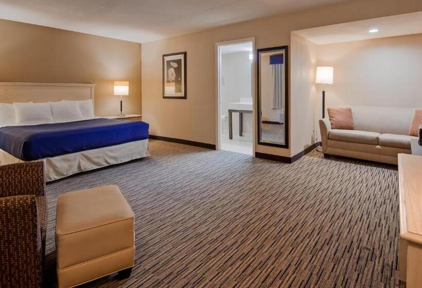 Chambre Standard Lit King Size, Surestay Hotel By Best Western Tupelo North