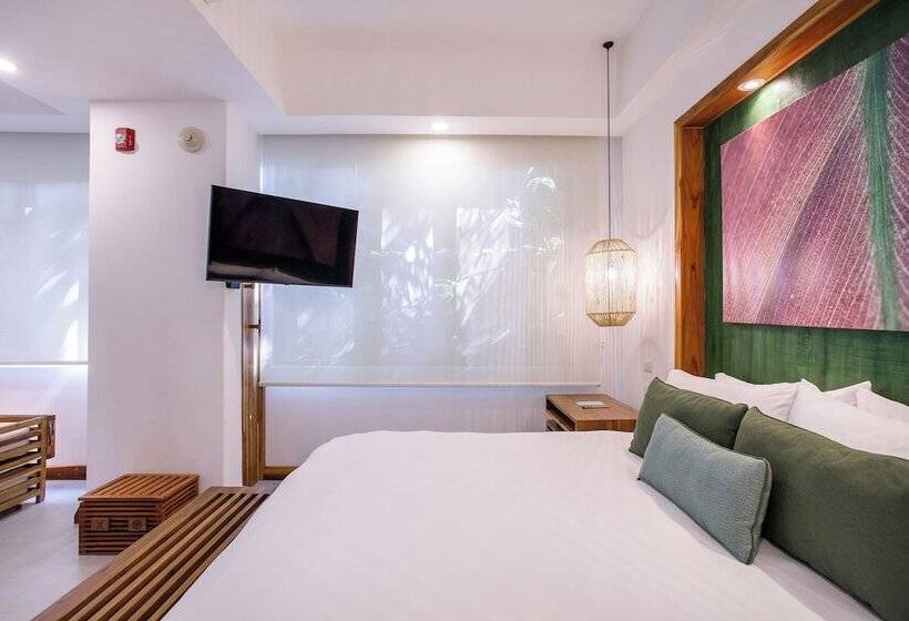 اتاق استاندارد, Arenas Del Mar Beachfront & Rainforest Resort Member Of The Cayuga Collection