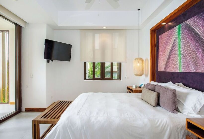اتاق سوپریور, Arenas Del Mar Beachfront & Rainforest Resort Member Of The Cayuga Collection