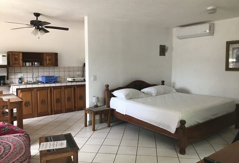 استودیوی استاندارد, Flores   Adults Only