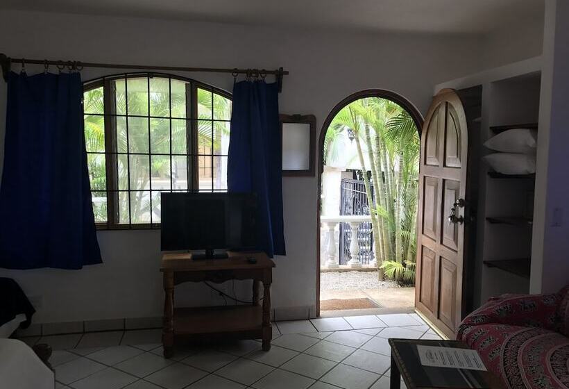 استودیوی استاندارد, Flores   Adults Only