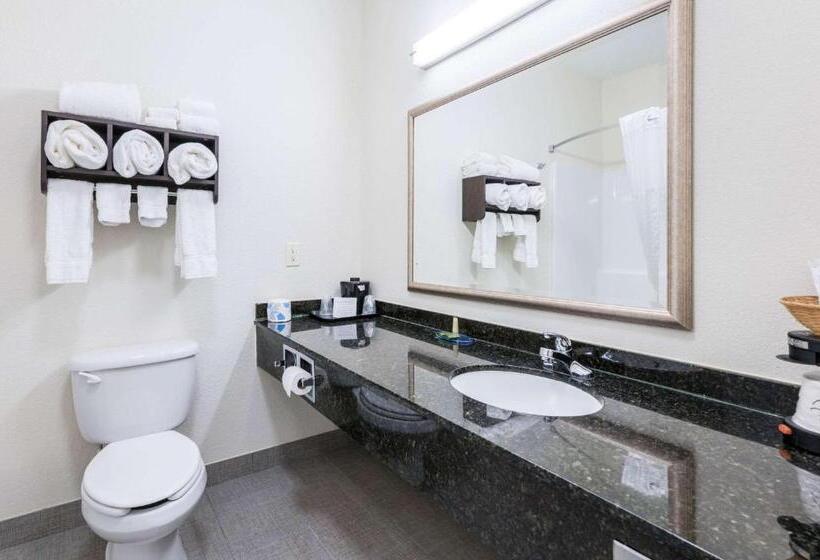 اتاق استاندارد با تخت بزرگ, Clarion Pointe Madisonhuntsville