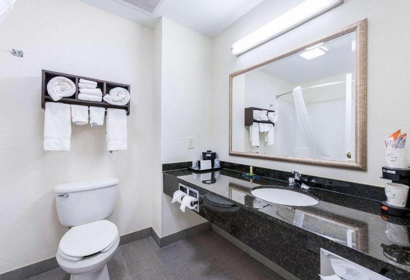 اتاق استاندارد, Clarion Pointe Madisonhuntsville