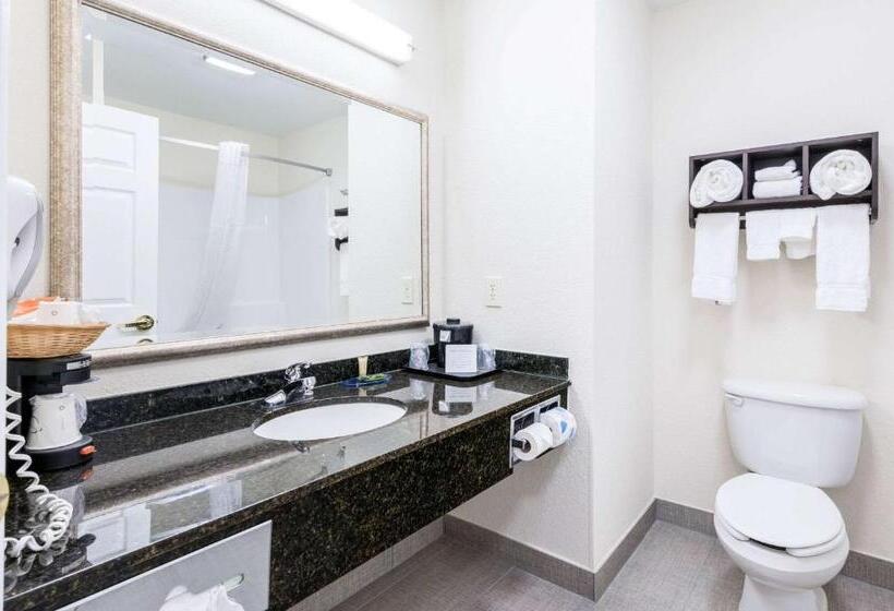 اتاق استاندارد, Clarion Pointe Madisonhuntsville