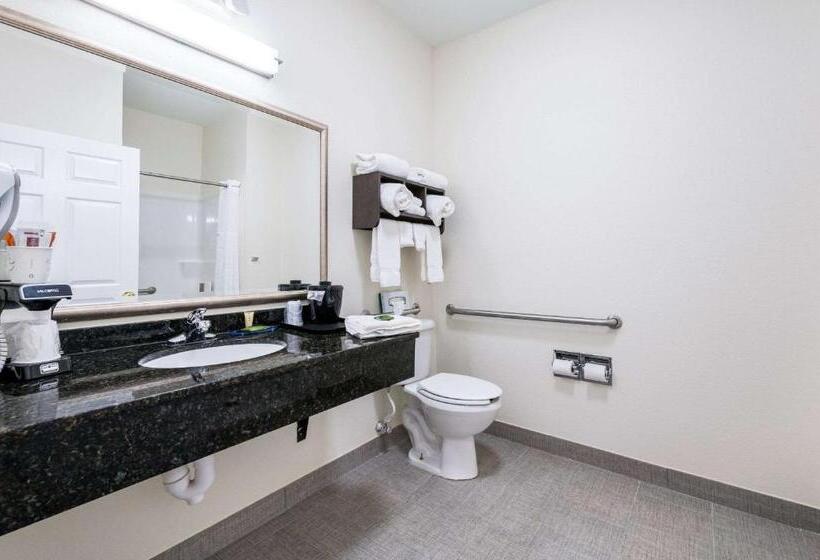 اتاق استاندارد با تخت بزرگ برای معلولان, Clarion Pointe Madisonhuntsville