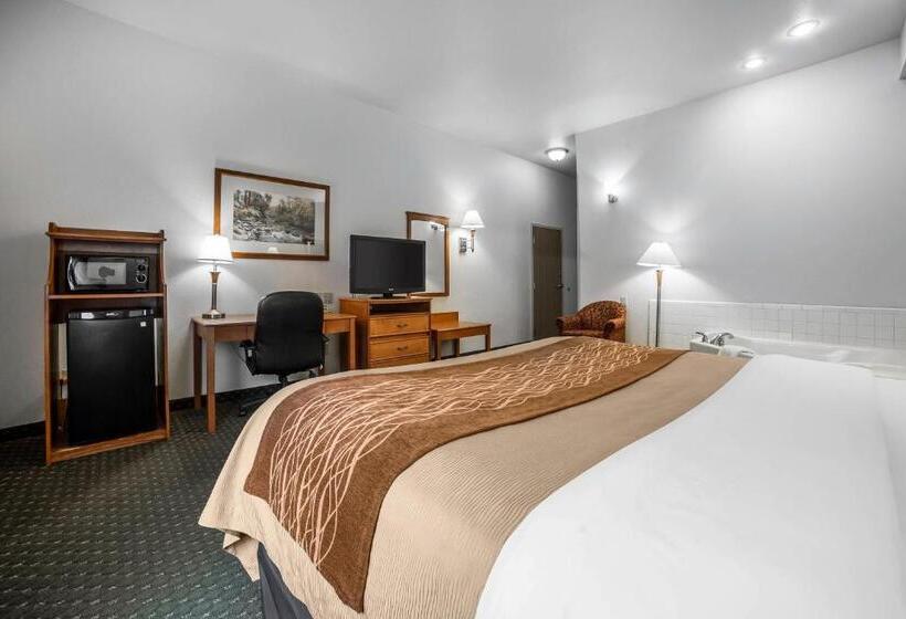 غرفة قياسية سرير كينج, Comfort Inn And Suites