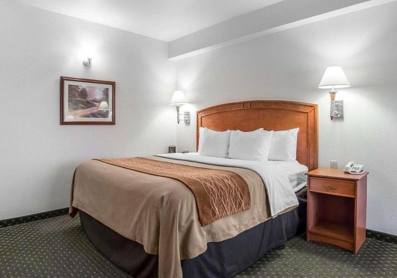 اتاق استاندارد, Comfort Inn And Suites