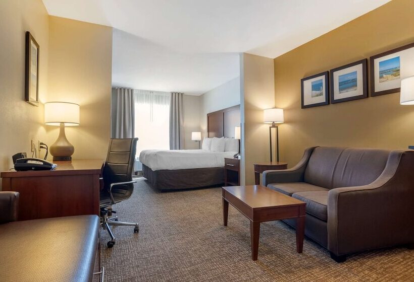 سوئیت برای معلولان, Comfort Suites Foley  North Gulf Shores