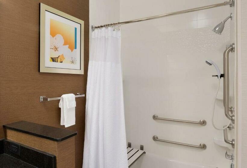 اتاق استاندارد با تخت بزرگ, Fairfield Inn & Suites Youngstown Boardman Poland