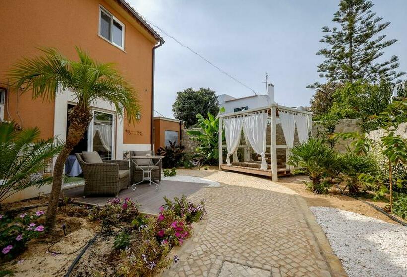 اتاق استاندارد با تراس, Guesthouse D. Manuel I   Adults Only