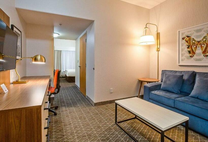 سوئیت با تخت بزرگ, Hawthorn Suites By Wyndham Oakland/alameda