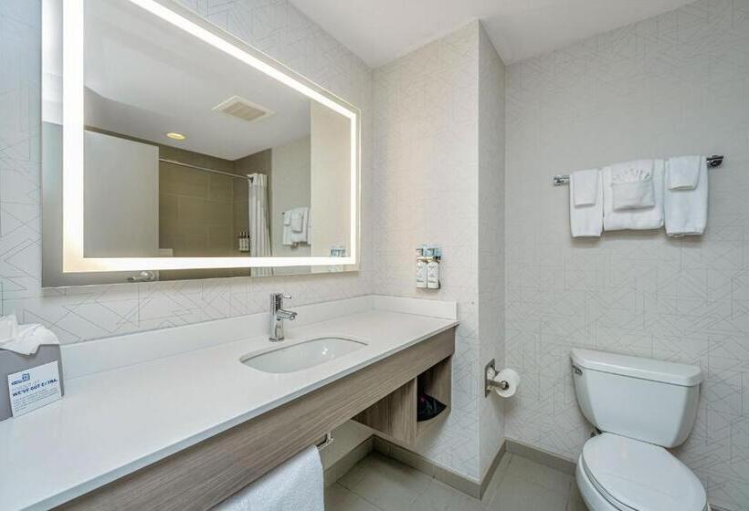 سوئیت با تخت بزرگ, Holiday Inn Express & Suites Charleston Arpt Conv Ctr Area, An Ihg