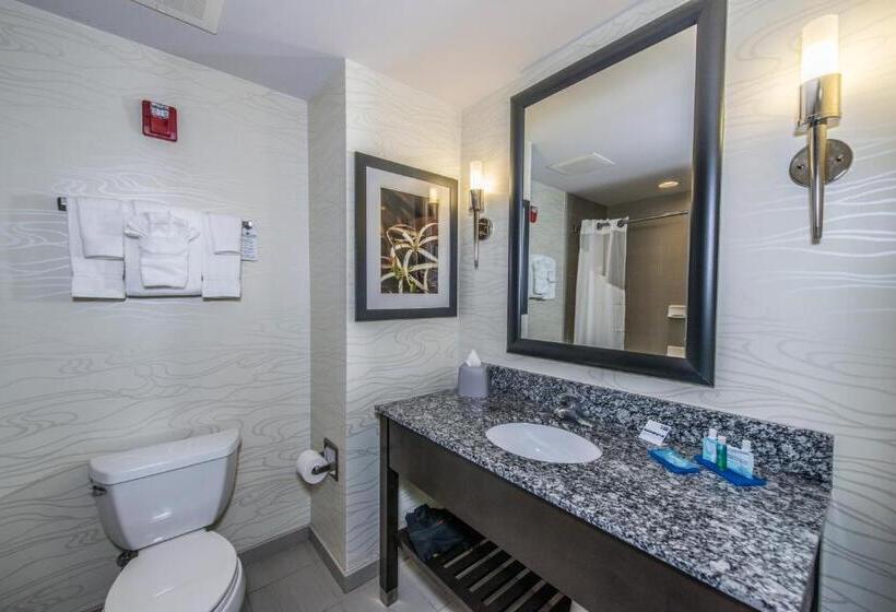 سوئیت با تخت بزرگ, Holiday Inn Express & Suites Charleston Arpt Conv Ctr Area, An Ihg