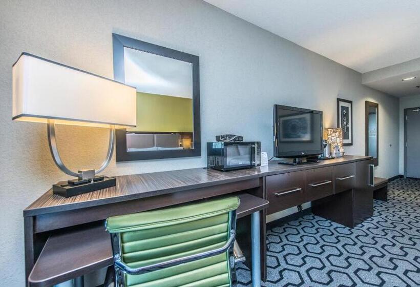 سوئیت با تخت بزرگ, Holiday Inn Express & Suites Charleston Arpt Conv Ctr Area, An Ihg