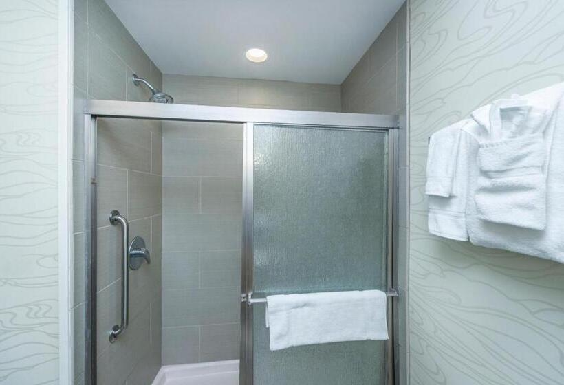 اتاق استاندارد با تخت بزرگ, Holiday Inn Express & Suites Charleston Arpt Conv Ctr Area, An Ihg