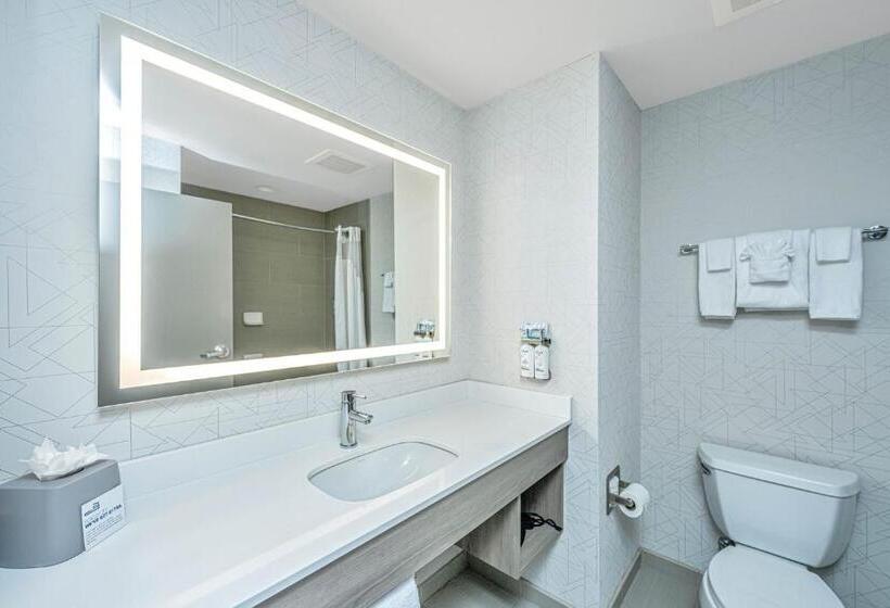 اتاق استاندارد, Holiday Inn Express & Suites Charleston Arpt Conv Ctr Area, An Ihg