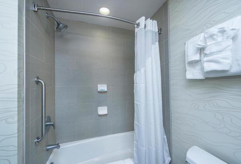 اتاق استاندارد, Holiday Inn Express & Suites Charleston Arpt Conv Ctr Area, An Ihg