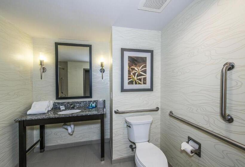 اتاق استاندارد با تخت بزرگ برای معلولان, Holiday Inn Express & Suites Charleston Arpt Conv Ctr Area, An Ihg
