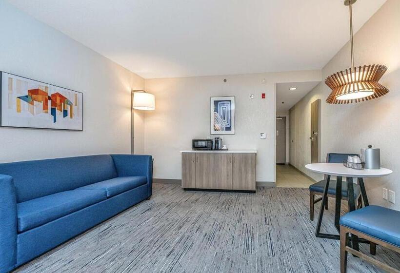 سوئیت برای معلولان, Holiday Inn Express & Suites Charleston Arpt Conv Ctr Area, An Ihg