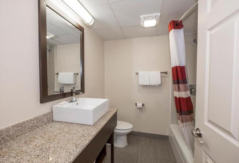اتاق لوکس, Red Roof Inn Plus+ Poughkeepsie