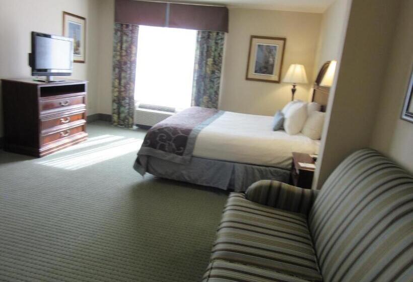 Suite Deluxe Llit King, Wingate By Wyndham Charleston Southern University