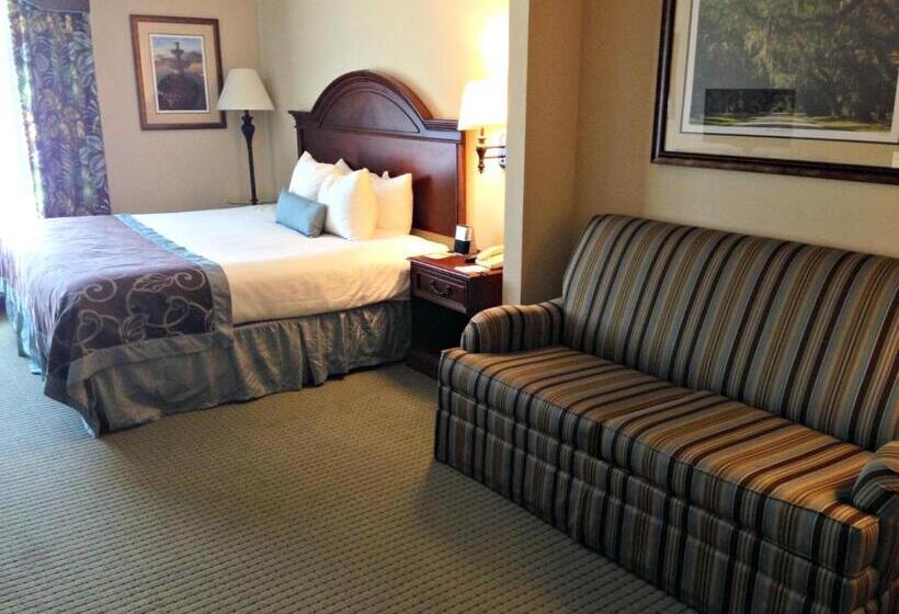 Suite Deluxe Letto King, Wingate By Wyndham Charleston Southern University