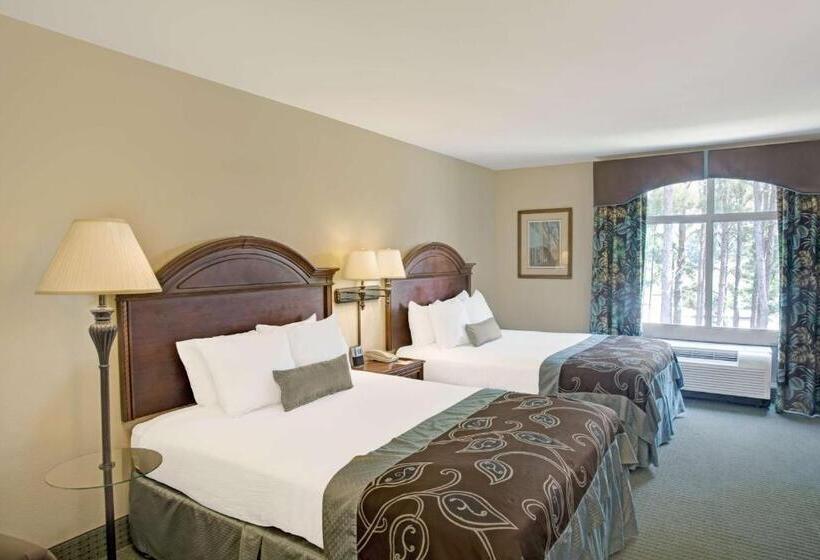 Standard Room, Wingate By Wyndham Charleston Southern University