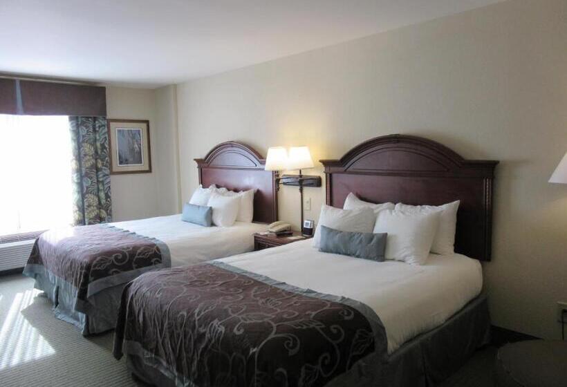 Standard Room, Wingate By Wyndham Charleston Southern University