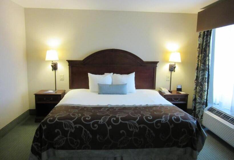 Standard Room King Size Bed, Wingate By Wyndham Charleston Southern University