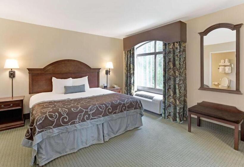 Camera Standard Letto King, Wingate By Wyndham Charleston Southern University