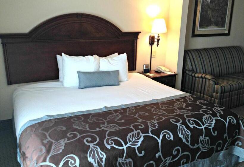 Standard Room King Size Bed, Wingate By Wyndham Charleston Southern University