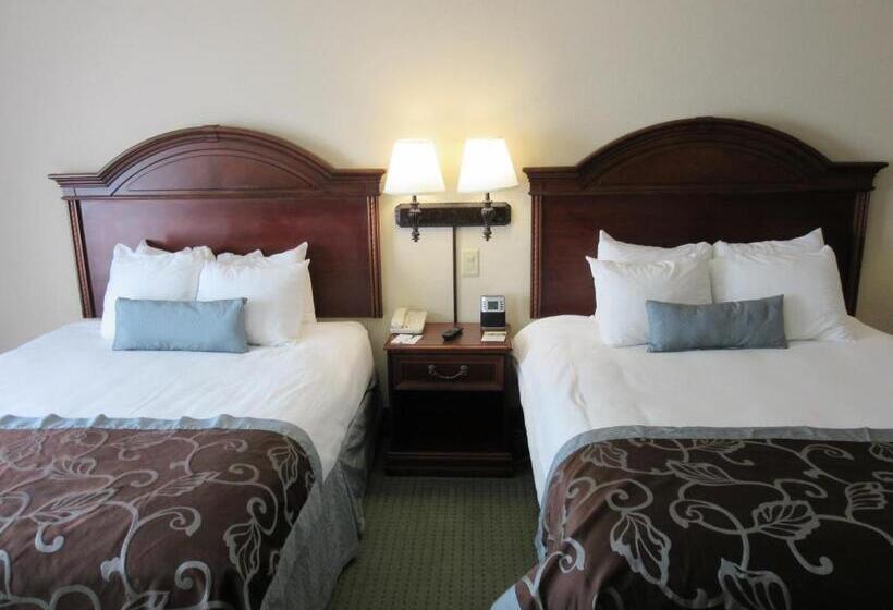 Quarto Deluxe Adaptado para Incapacitados, Wingate By Wyndham Charleston Southern University