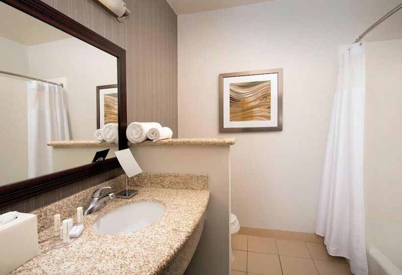اتاق استاندارد, Courtyard By Marriott Tyler
