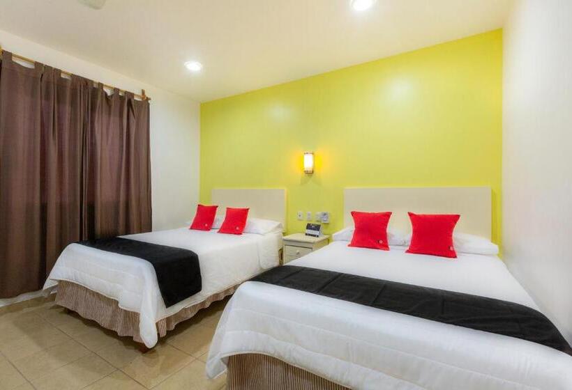 اتاق استاندارد, Capital O Oaxaca Guest