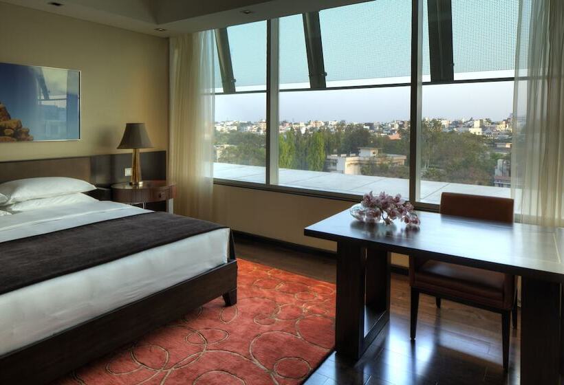 １ベッドルームのデラックスアパートメント, Park Hyatt Hotel And Residences, Hyderabad